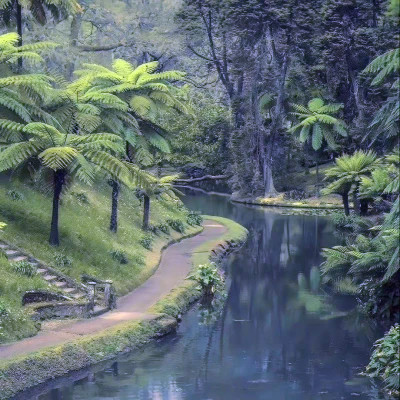 2026背景图片头像新款