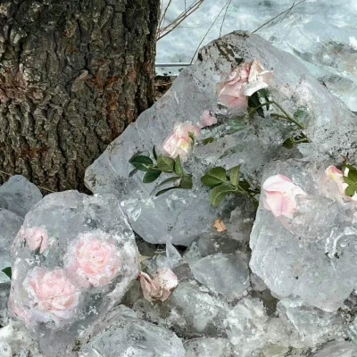 2026背景图片头像新款