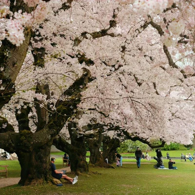 2026背景图片头像新款