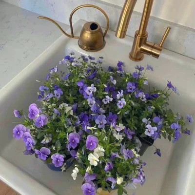 2026背景图片头像新款