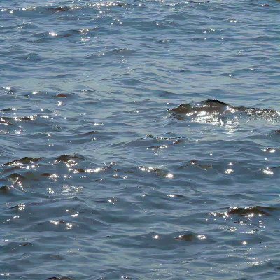 2026背景图片头像新款