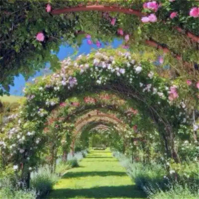 2026背景图片头像新款