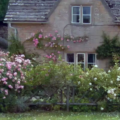 2026背景图片头像新款