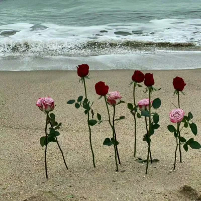 2026背景图片头像新款