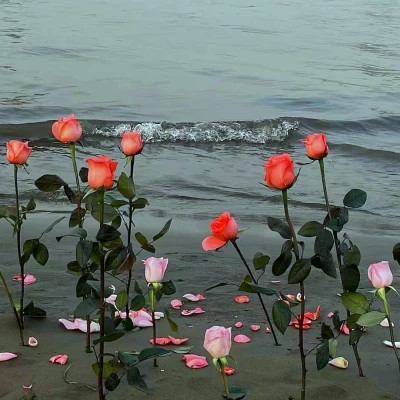 2026背景图片头像新款