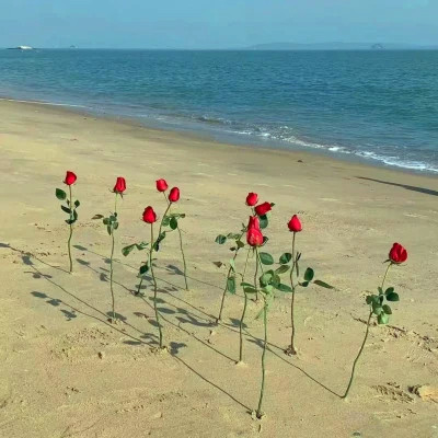 2026背景图片头像新款