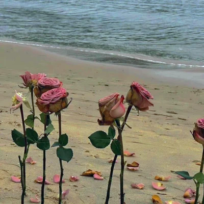 2026背景图片头像新款