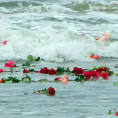 2026背景图片头像新款