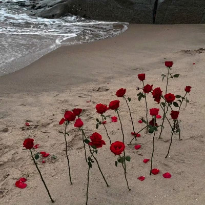 2026背景图片头像新款