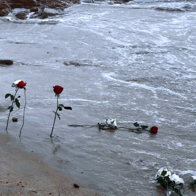 2026背景图片头像新款