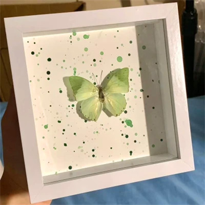 2026背景图片头像新款