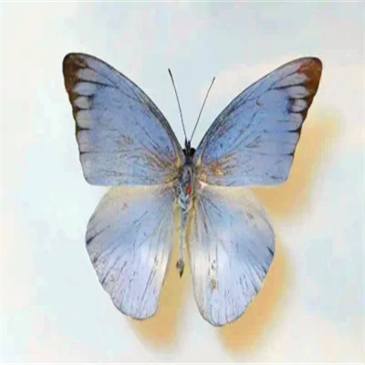 2026背景图片头像新款