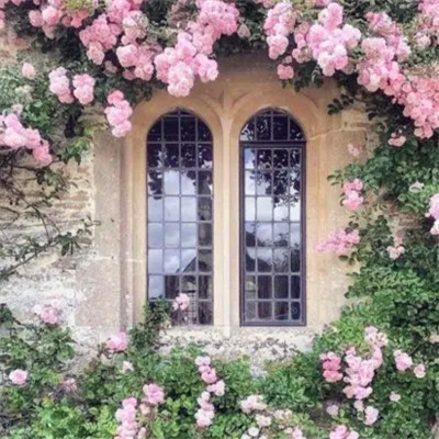 2026背景图片头像新款