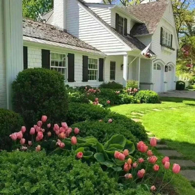 2026背景图片头像新款