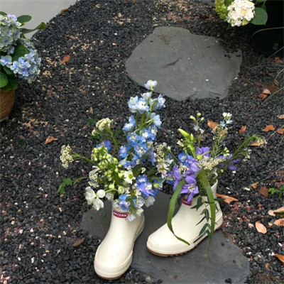 2026背景图片头像新款