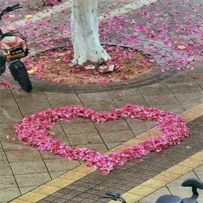 2026背景图片头像新款