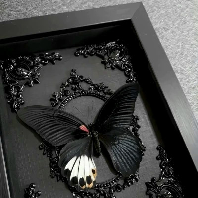 2026背景图片头像新款