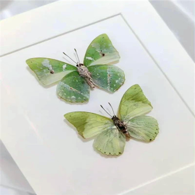 2026背景图片头像新款