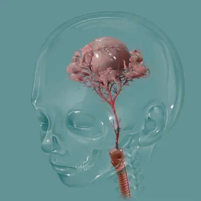 2026背景图片头像新款