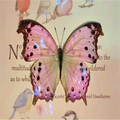 2026背景图片头像新款