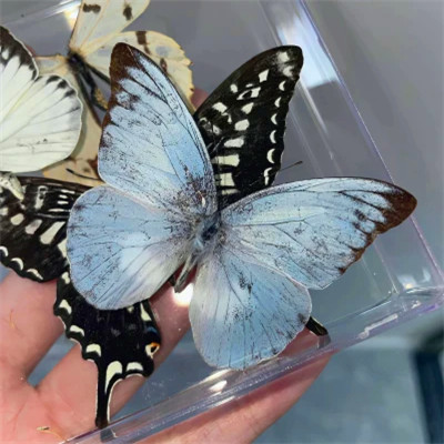 2026背景图片头像新款