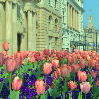 2026年海量封面背景图片头像