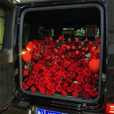 2026年海量封面背景图片头像