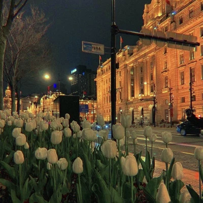 2026年海量封面背景图片头像