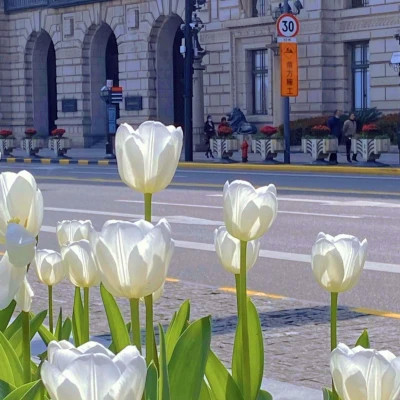 2026年海量封面背景图片头像