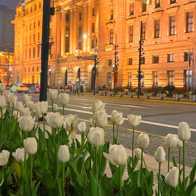 2026年海量封面背景图片头像