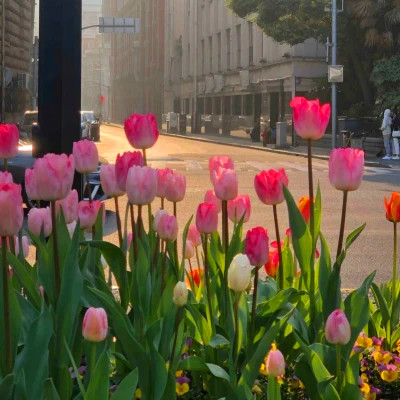 2026年海量封面背景图片头像