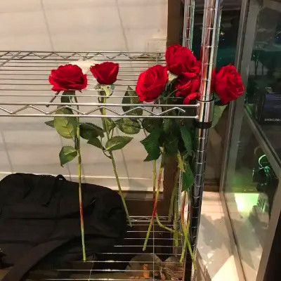 2026年海量封面背景图片头像