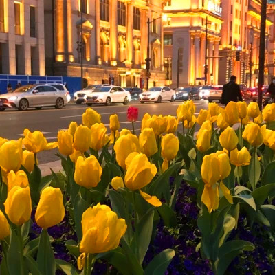 2026年海量封面背景图片头像