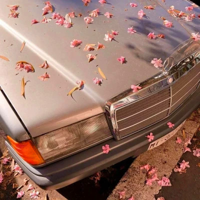 2026年海量封面背景图片头像