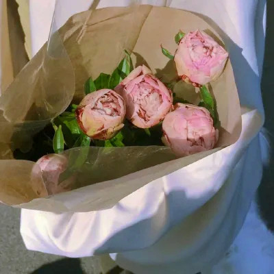 2026年海量封面背景图片头像