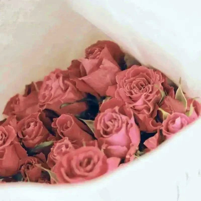 2026年海量封面背景图片头像