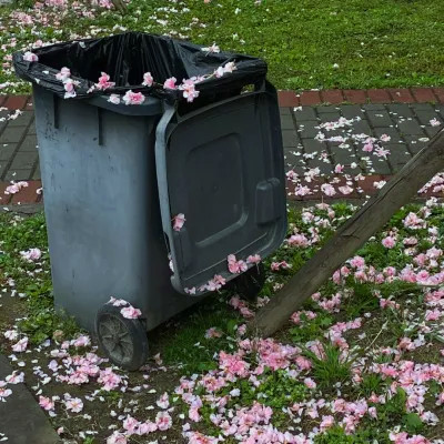 2026年海量封面背景图片头像