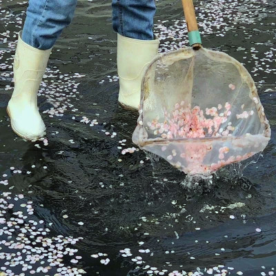 2026年海量封面背景图片头像