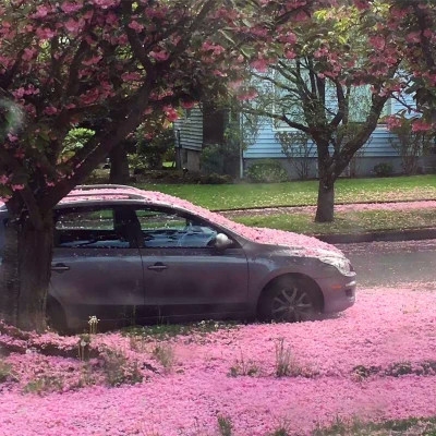 2026年海量封面背景图片头像