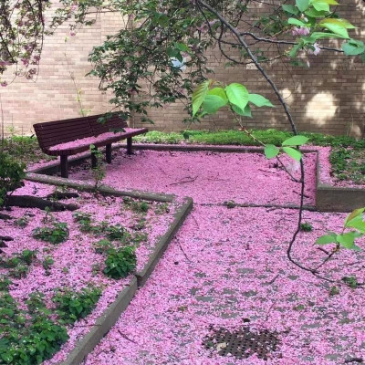 2026年海量封面背景图片头像