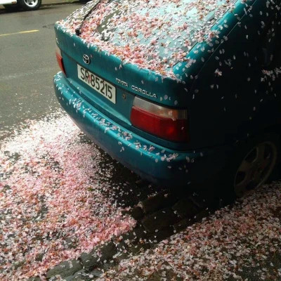 2026年海量封面背景图片头像