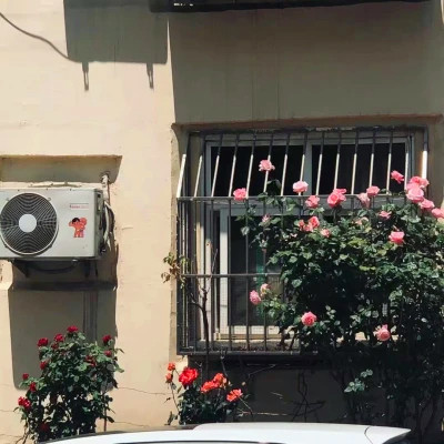 2026年海量封面背景图片头像