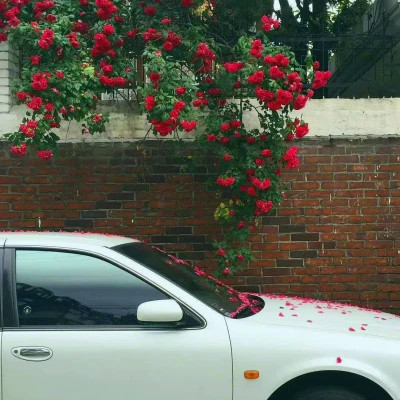 2026年海量封面背景图片头像