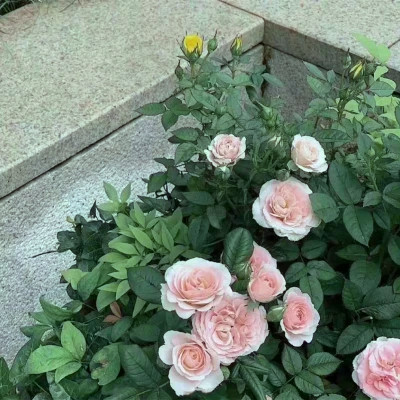 2026年海量封面背景图片头像