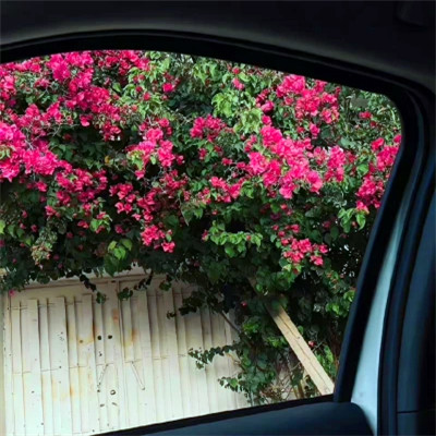 2026年海量封面背景图片头像