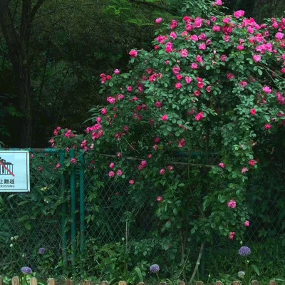 2026年海量封面背景图片头像