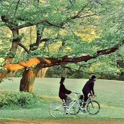 2026年海量封面背景图片头像