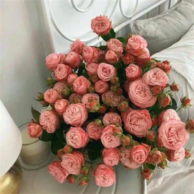 2026年海量封面背景图片头像