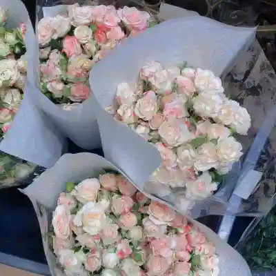 2026年海量封面背景图片头像