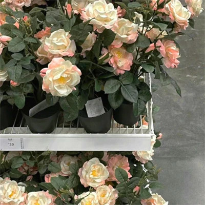 2026年海量封面背景图片头像